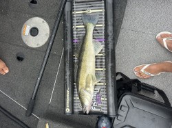 Catch photo