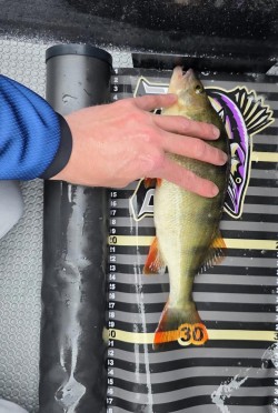 Catch photo