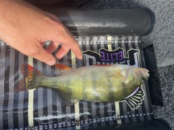 Catch photo