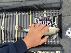 Catch photo