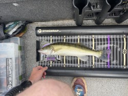 Catch photo