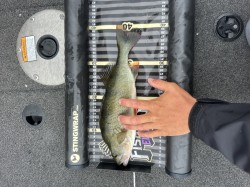 Catch photo